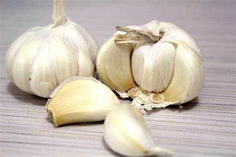 garlic benefits for health