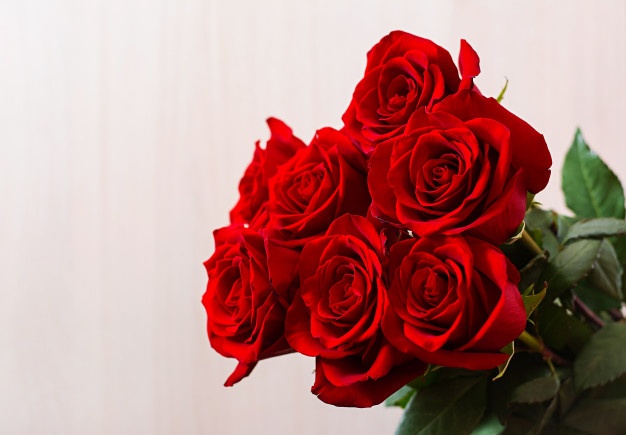 Happy Rose Day : जाणून घ्या गुलाबाचे आरोग्यवर्धक आणि सौंदर्यवर्धक फायदे