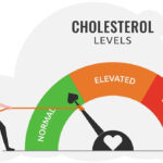 Cholesterol Level : कॉलेस्ट्रॉलची पातळी किती वाढल्यास हार्ट अटॅकचा धोका निर्माण होतो? जाणून घ्या सविस्तर