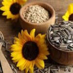 Benefits of Eating Sunflower Seeds