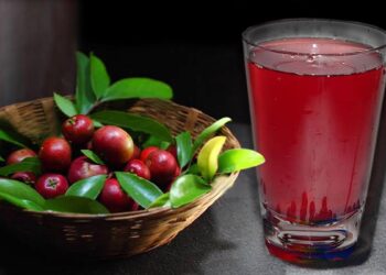 कोकम सरबत पिण्याचे फायदे