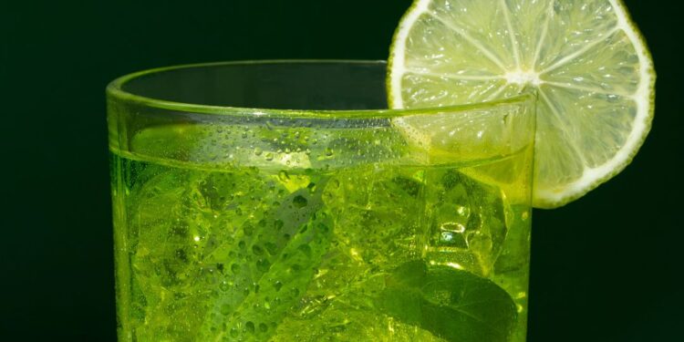 Aloe Vera Juice : शरीर आणि त्वचेसाठी एक चमत्कारी उपाय, जाणून घ्या नियमित एलोवेरा ज्यूस पिण्याचे फायदे