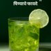 Aloe Vera Juice : शरीर आणि त्वचेसाठी एक चमत्कारी उपाय, जाणून घ्या नियमित एलोवेरा ज्यूस पिण्याचे फायदे