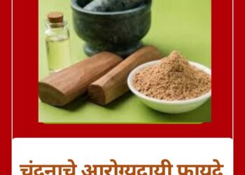 चंदन : सौंदर्य आणि आरोग्याचं सुगंधित गुपित!, जाणून घ्या चंदनाचे उपयोग