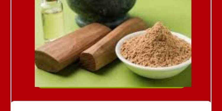 चंदन : सौंदर्य आणि आरोग्याचं सुगंधित गुपित!, जाणून घ्या चंदनाचे उपयोग