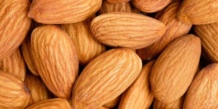 बदाम खाण्यापूर्वी ‘या’ गोष्टी नक्की जाणून घ्या