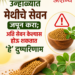 Summer Health Tips : उन्हाळ्यात मेथीचे सेवन जपून करा; अति सेवन केल्यास होऊ शकतात ‘हे’ दुष्परिणाम